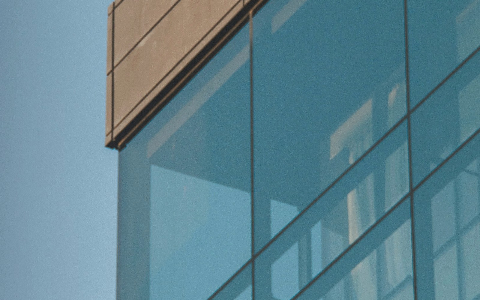 政府采购审计常见问题分类梳理